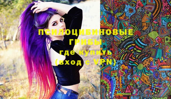 МДПВ Нязепетровск