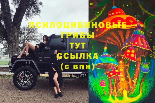 твердый Богородицк
