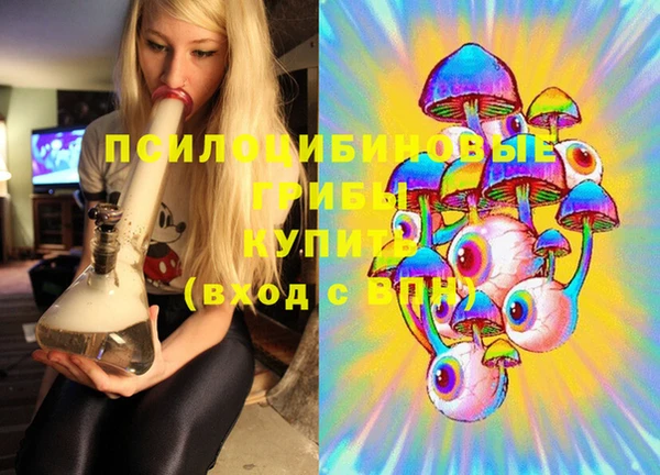 стафф Богданович