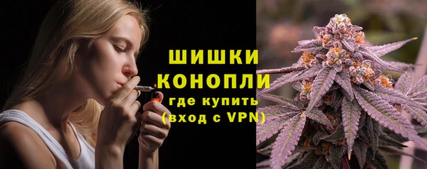 твердый Богородицк